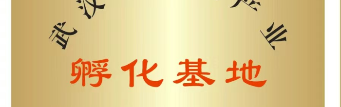 全国首个小游戏产业孵化基地在武汉揭牌